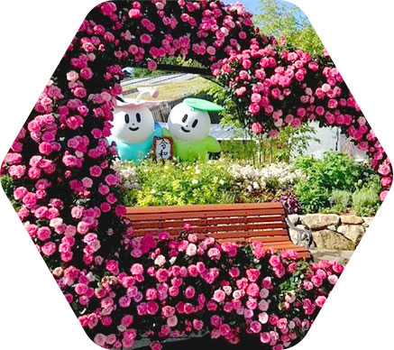 公共工事 イメージ画像