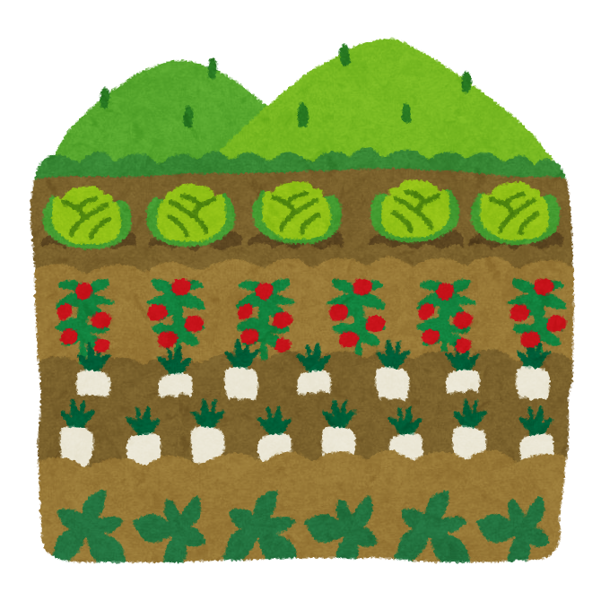 ナス ピーマン トマトなど夏野菜が終わった土地に 植えていい作物9つと植えない方がいい作物3つ グリーンワークス 大垣市の造園会社