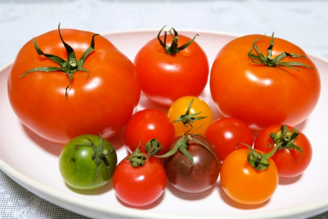 ミニトマトとプチトマトの違いは何ですか？ | グリーンワークス株式