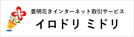 イロドリ ミドリ