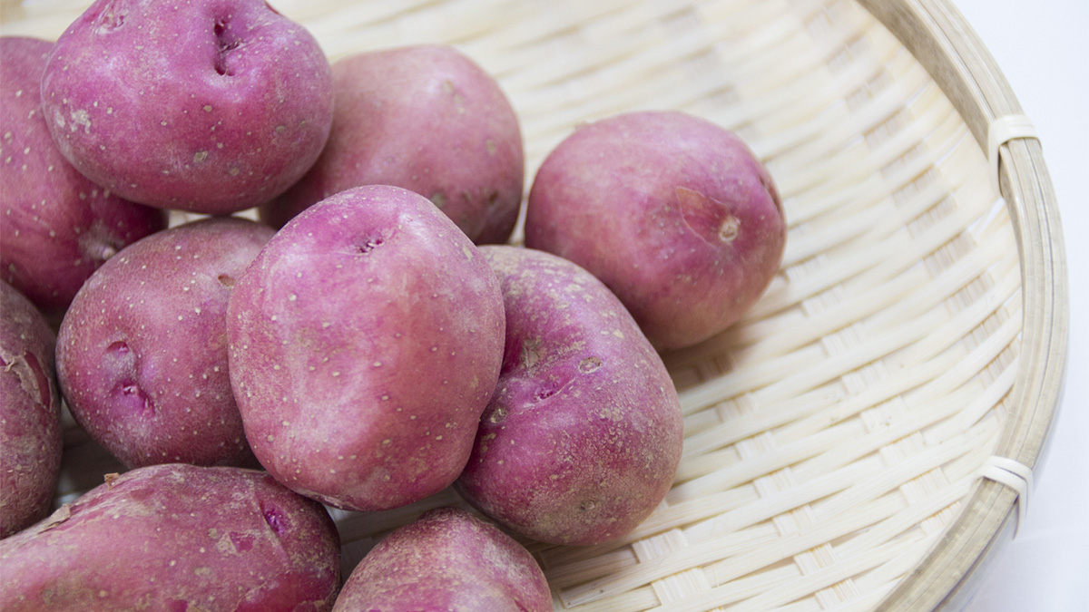 アンデスレッド