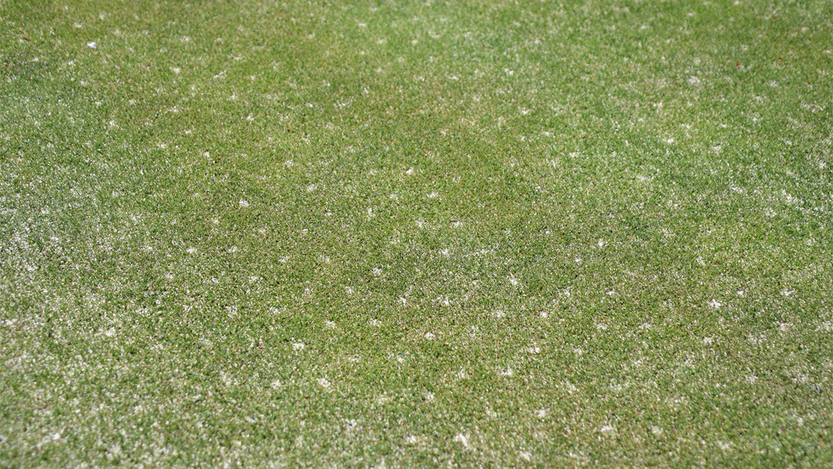 エアレーション