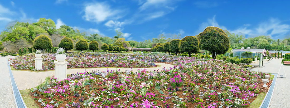 ぎふワールド・ローズガーデン