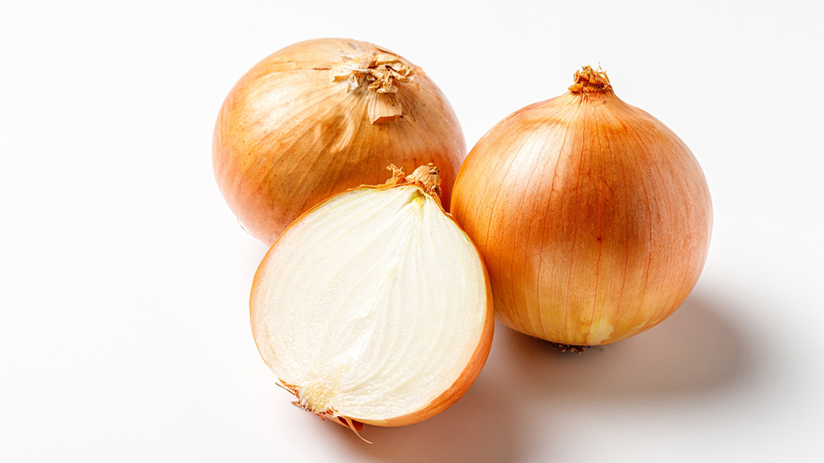 玉ねぎの種まき時期