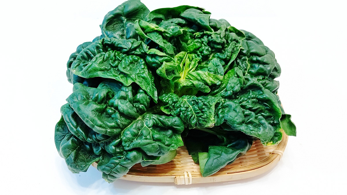 ほうれん草の種まき時期