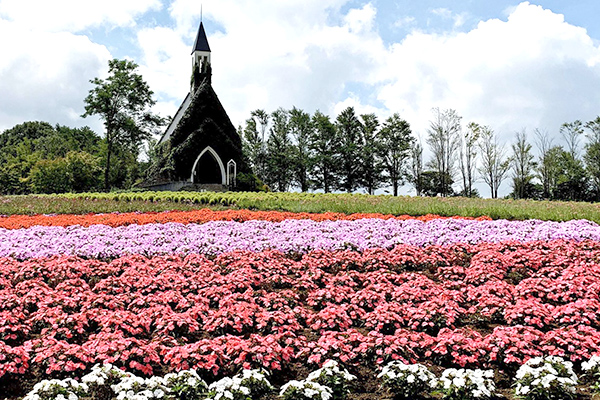 花畑・花壇・プランターの設置と植栽デザイン