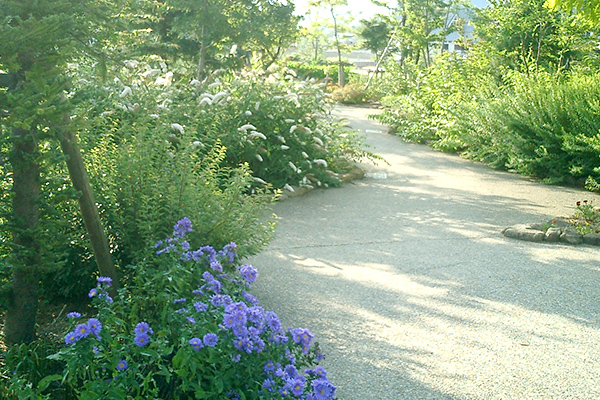 テーマパーク園路