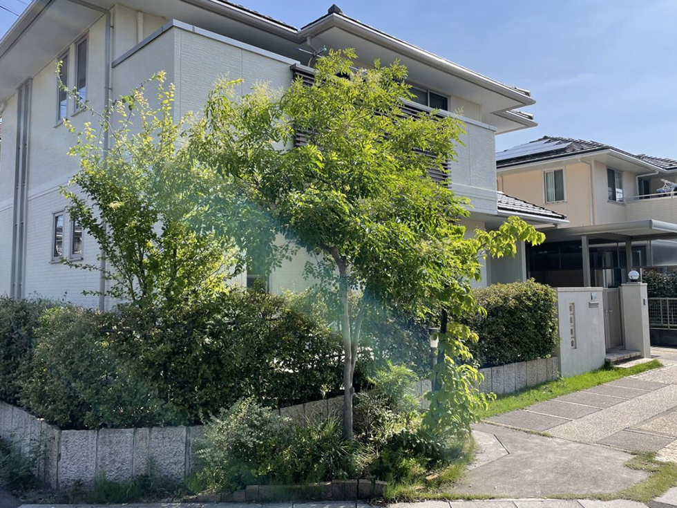 植木の剪定と目隠し柵の設置事例の施工前