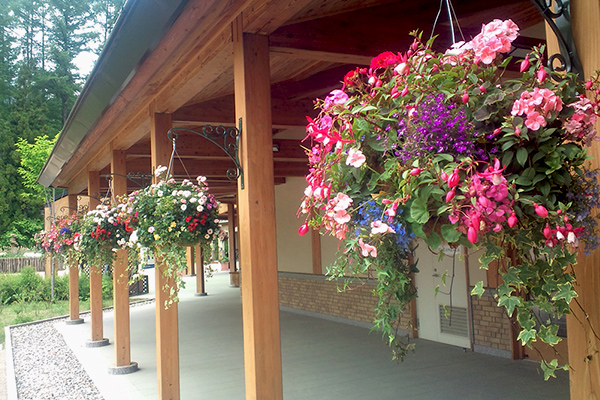 ハンギングバスケット