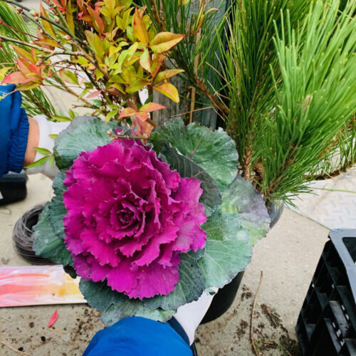 門松の制作風景