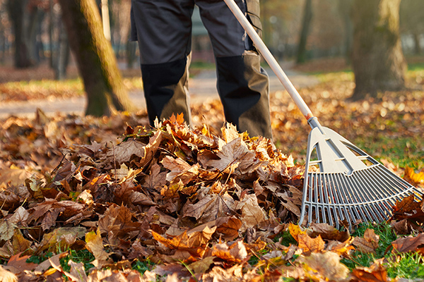 落ち葉拾いや枯れ葉の回収