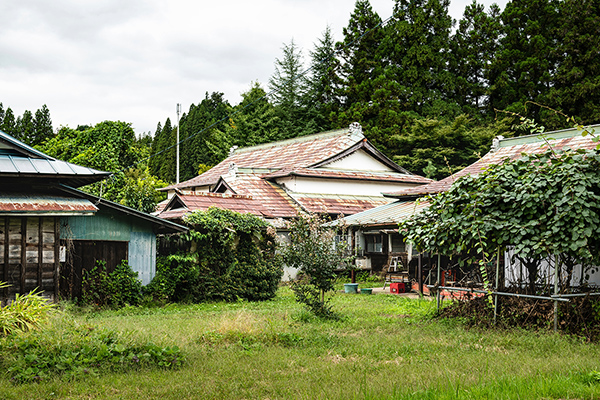 空き家のお庭の巡回・管理