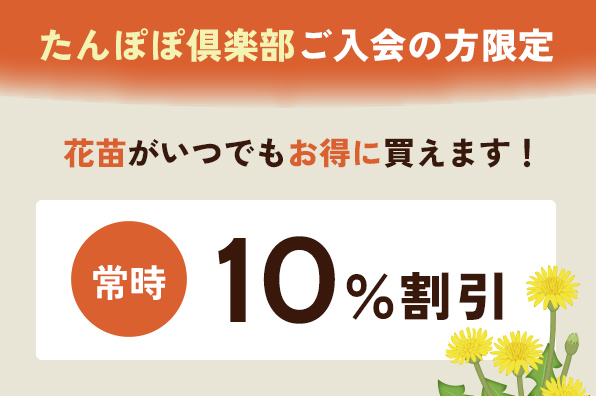 たんぽぽ倶楽部会員割引