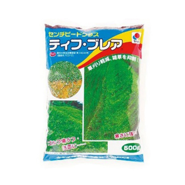 雑草抑制型芝ティフ・ブレア