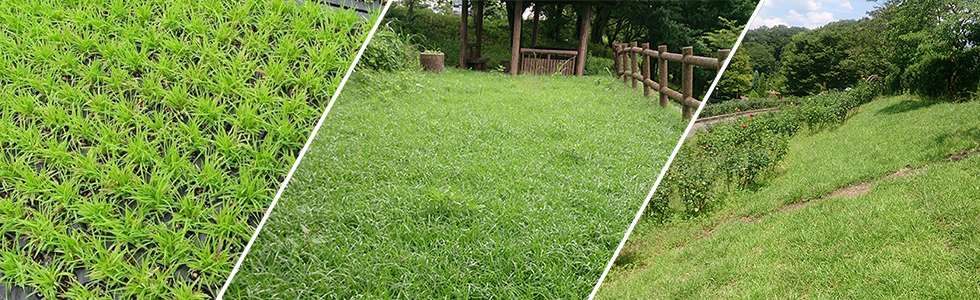 ティフ・ブレアの施行例