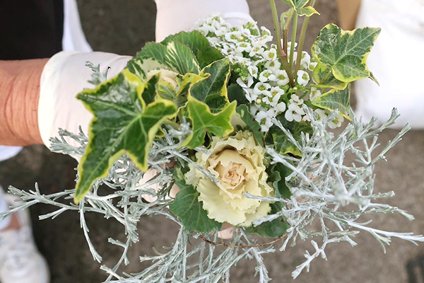 寄せ植え教室の先生の手元